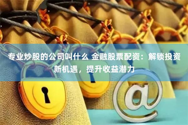 专业炒股的公司叫什么 金融股票配资：解锁投资新机遇，提升收益潜力